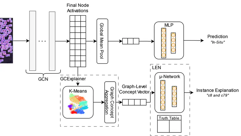 Digital Histopathology with Graph Neural Networks: Concepts and Explanations for Clinicians